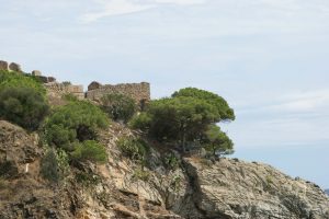 Castell de Sant Esteve