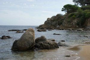 Sa Tamardia