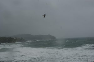 Temporal a La Fosca