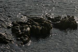 Voltants de La Fosca