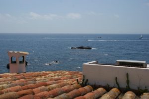 Voltants de La Fosca